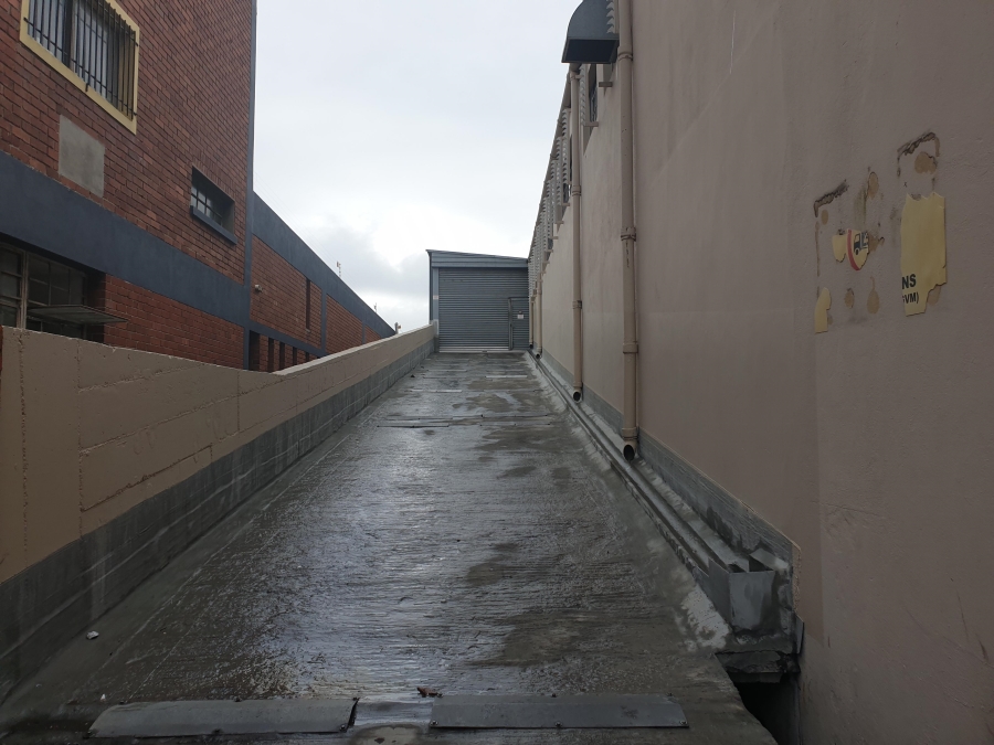 To Let Commercial Property for Rent in Salt River Western Cape